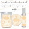 Vanilla Waves Scentsy Fragrance