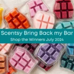 Bring Back my Bar July 2024