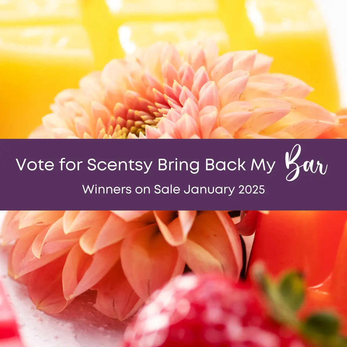 Scentsy Bring Back My Bar Winners January 2025 Incandescent.Scentsy.us
