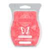 WATERMELON TANGERINE SCENTSY BAR