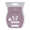 WELCOME HOME SCENTSY BAR