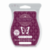 WINTERBERRY APPLE TEA SCENTSY BAR 1