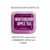 Winterberry Apple Tea Scentsy Scent Circle