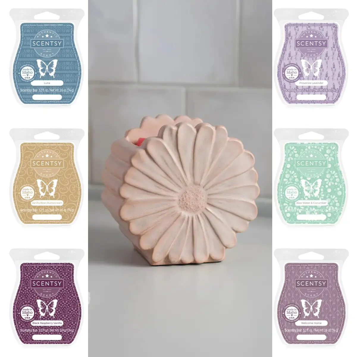 Daisy Scentsy Warmer & Wax Bundle