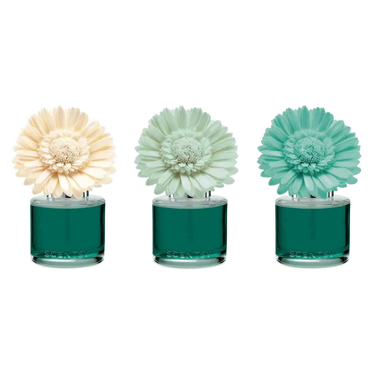 Water Lily & Bergamot Dainty Daisy Scentsy Flower