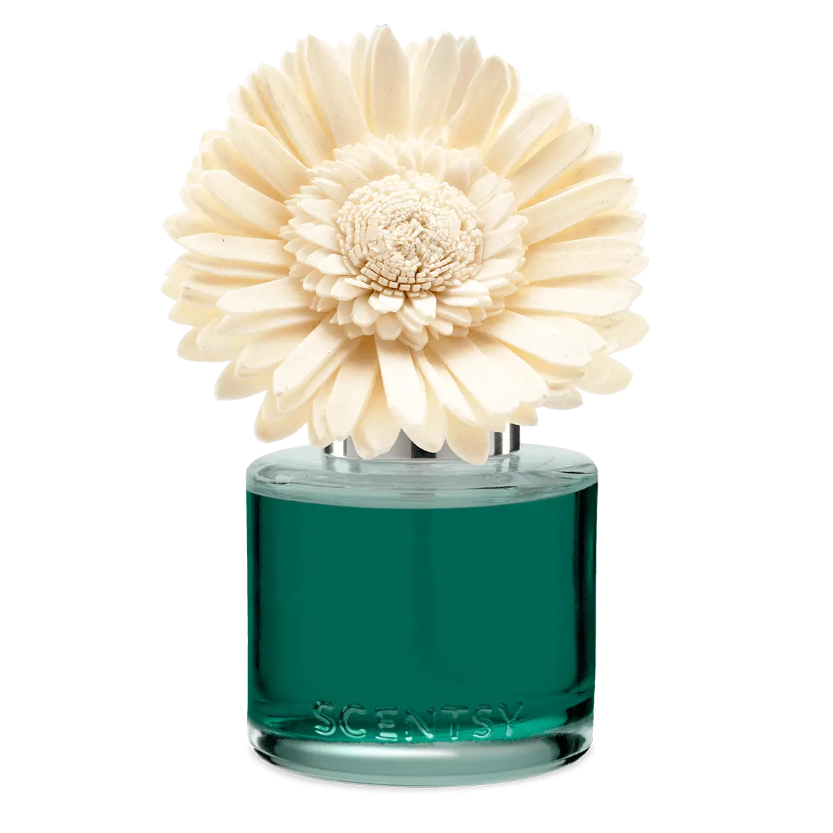 Water Lily & Bergamot Dainty Daisy Scentsy Flower