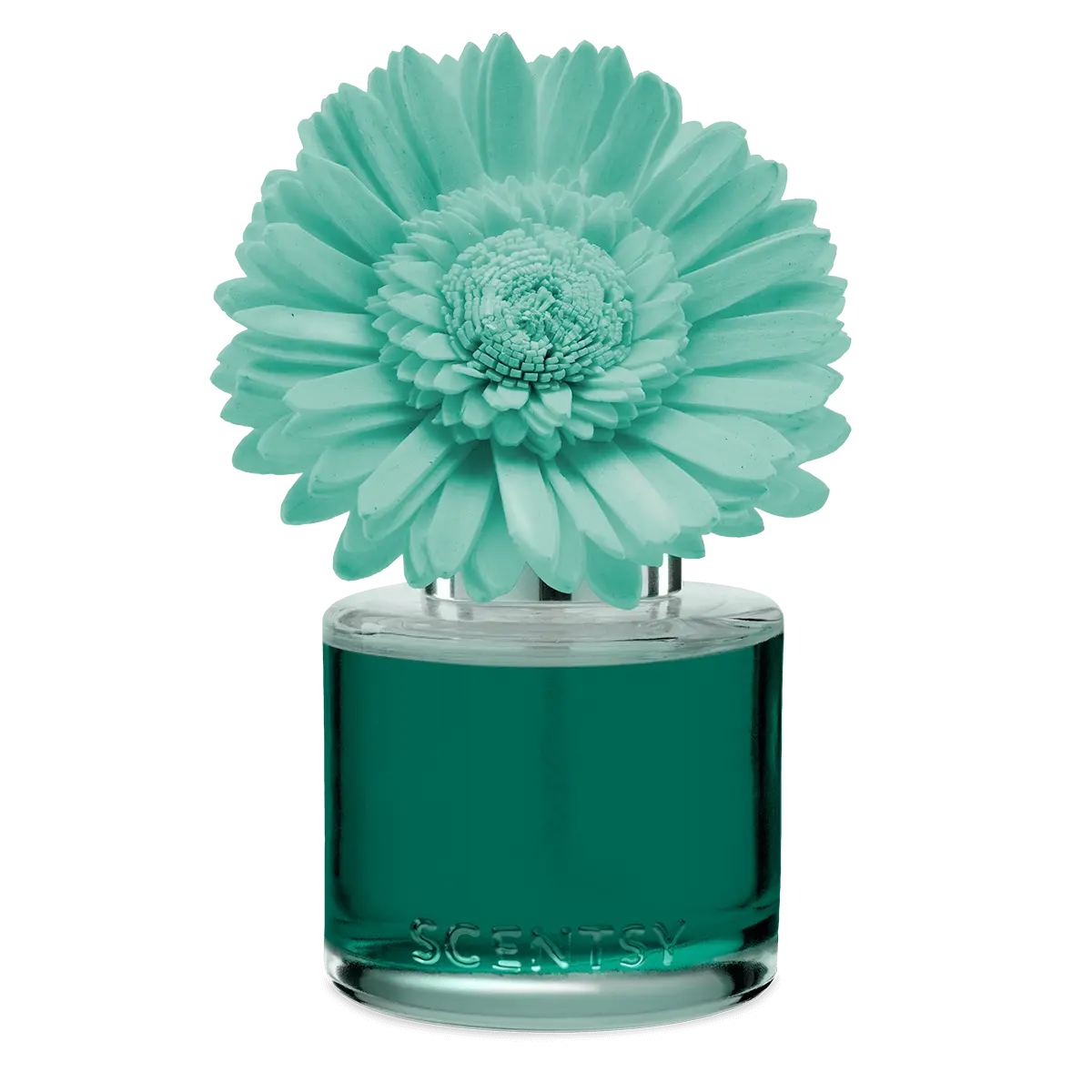 Water Lily & Bergamot Dainty Daisy Scentsy Flower