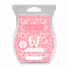 Watermelon Patch Scentsy Bar