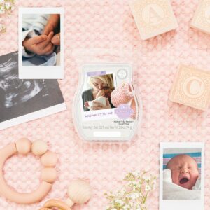 Welcome Little One Scentsy Bar Styled