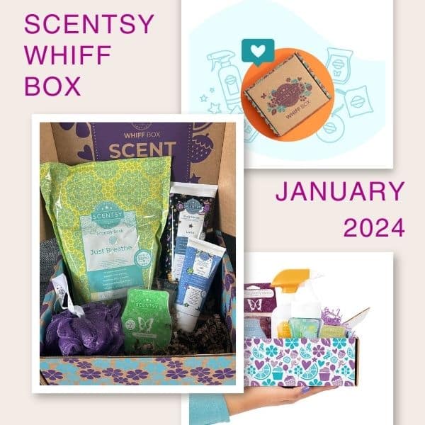 January 2024 Scentsy Whiff Box