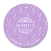 Whipped Vanilla Lavender Scentsy Scent Circle