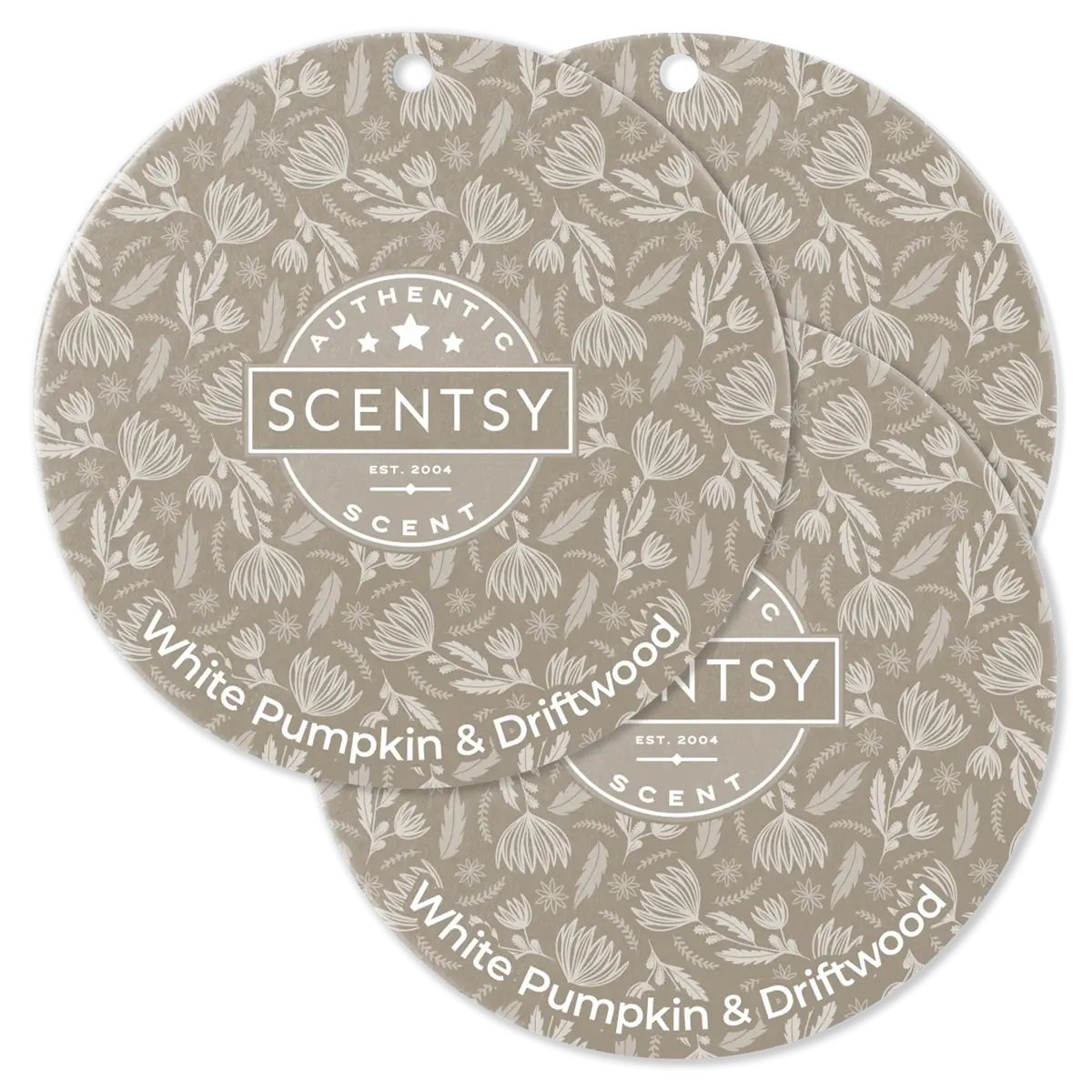 White Pumpkin & Driftwood Scentsy Scent Circle 3 Pack Bundle