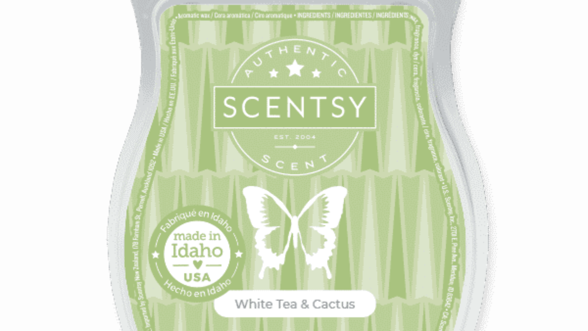 White Tea & Cactus Scentsy Bar
