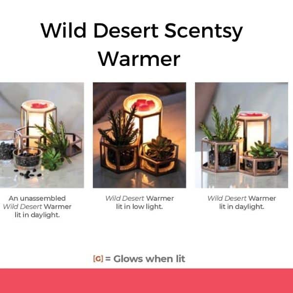 Wild Desert Scentsy Warmer 1