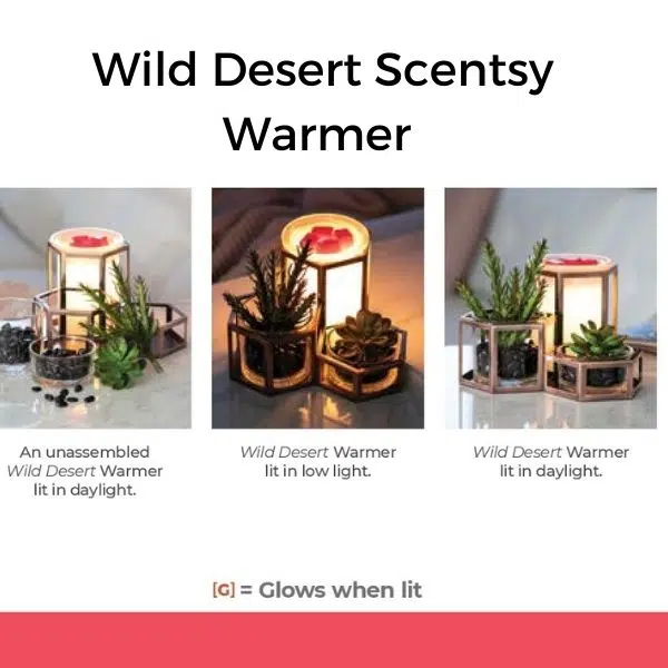 Scentsy July 2022 Warmer & Scent Of The Month Wild Desert Succulent