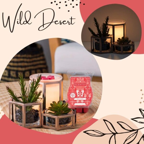 Wild Desert Scentsy Warmer 2