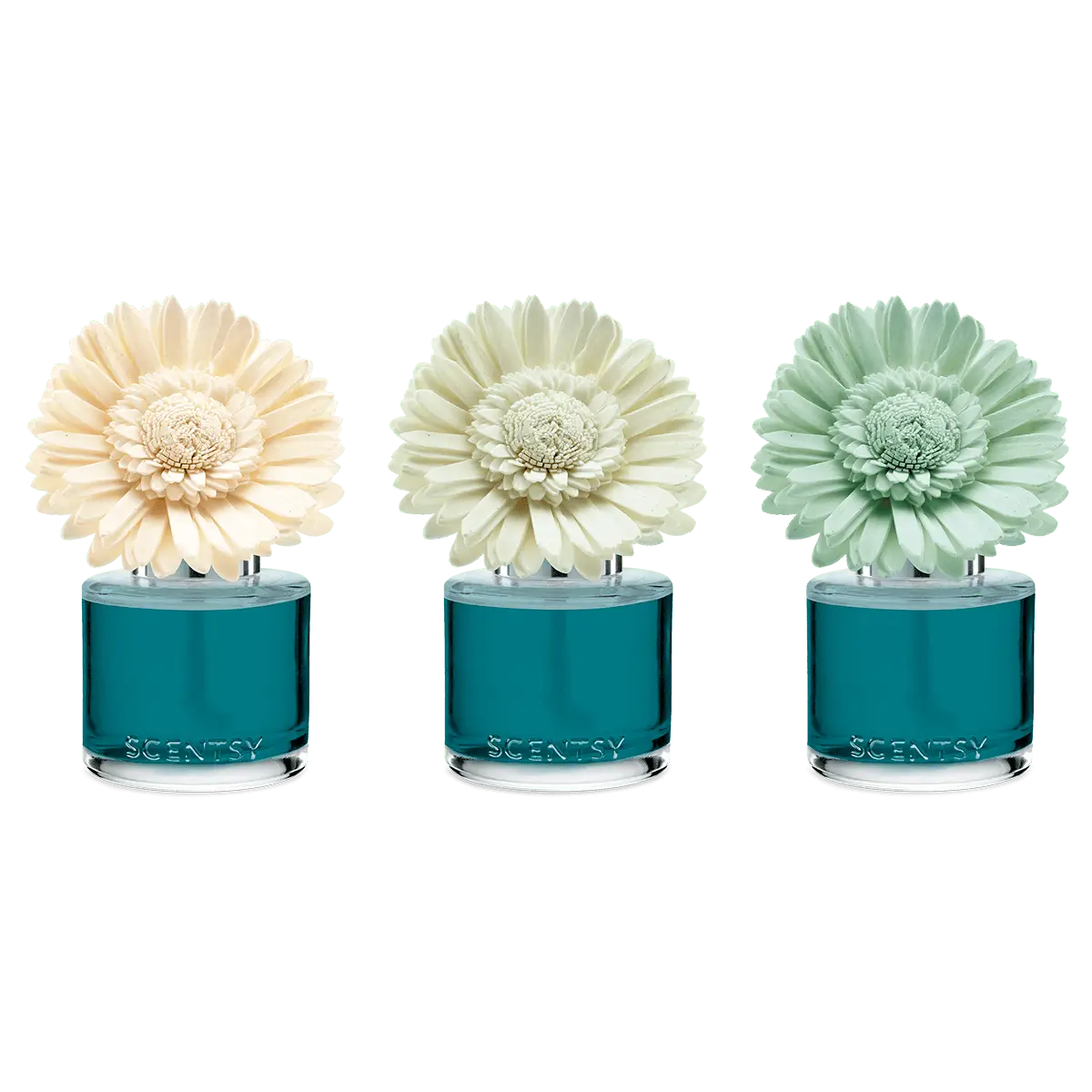 Wild Seaside Scentsy Fragrance Flower