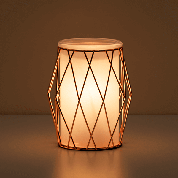 Wire you blushing Full Size Scentsy Warmer 2