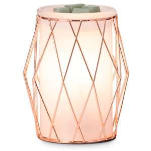 Wire you blushing Full Size Scentsy Warmer 5