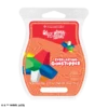 Everlasting Gobstopper Scentsy Bar | Willy Wonka