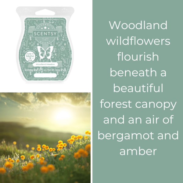 Woodland Meadow Scentsy Bar