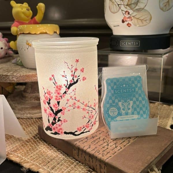Scentsy World Tour 2024