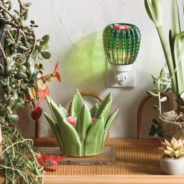 Aloe-Vera-Warmer-Sedona-Mini-Warmer-Stylized-64D6188418E3C Sedona Cactus Mini Scentsy Warmer