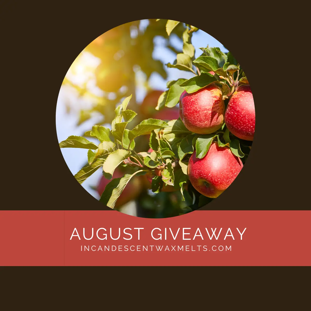 Monthly Giveaway