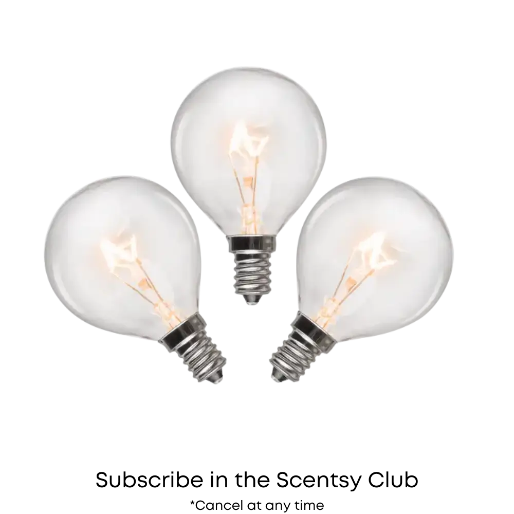 Scentsy Bulbs | Scentsy Club Subscription