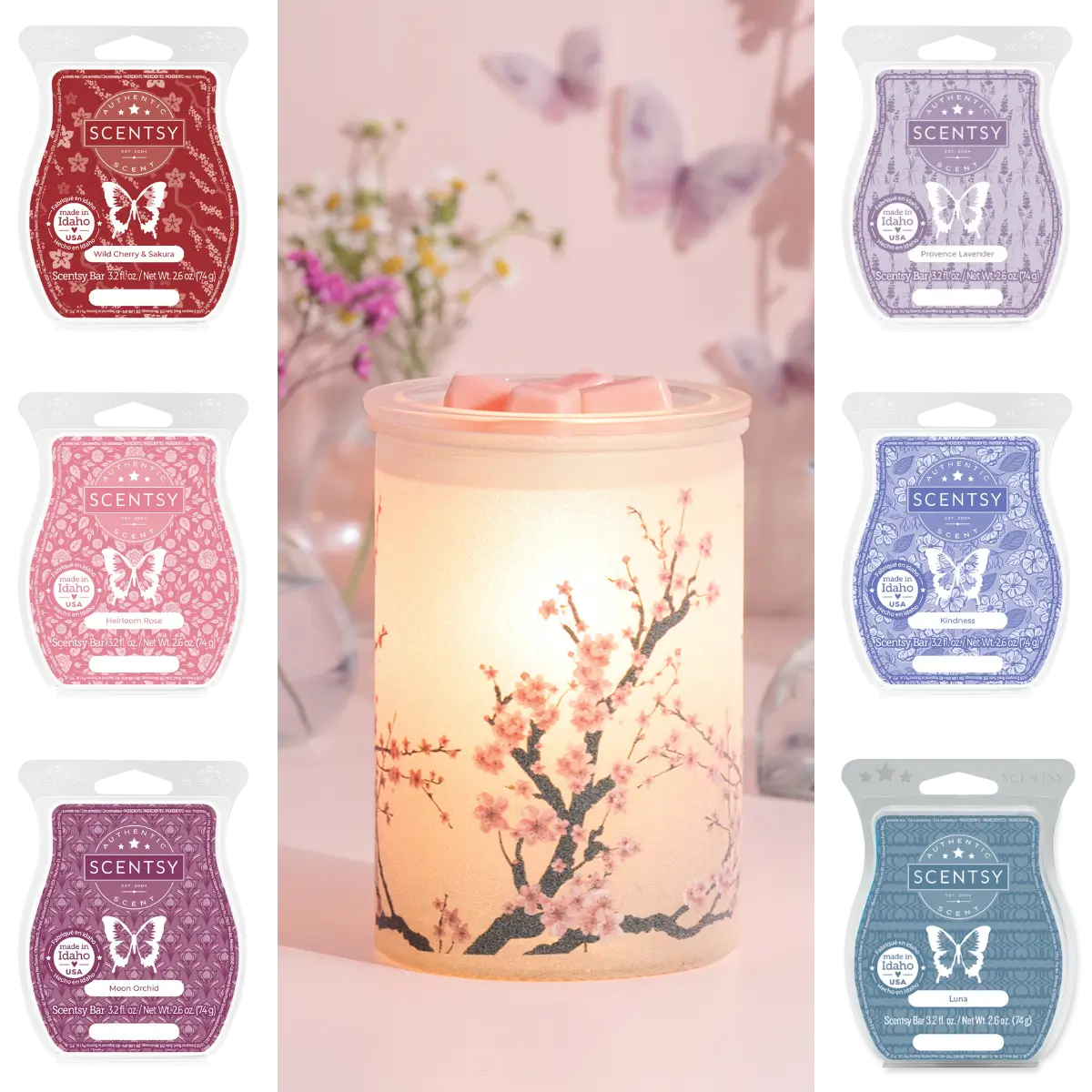 Blossom Scentsy Warmer & Wax Bundle Deal