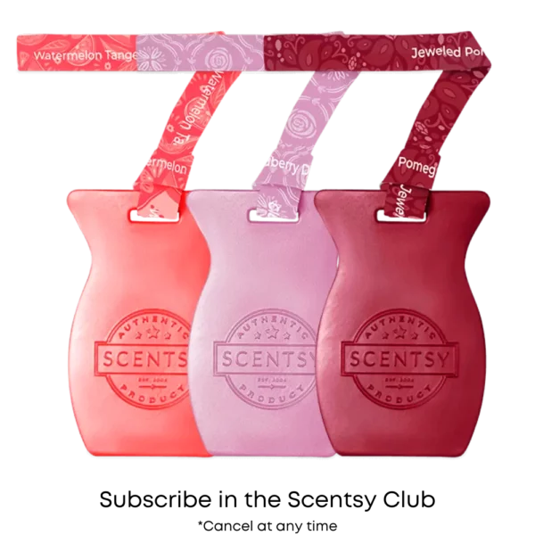 Car Bars Scentsy Club Scentsy Car Bars | Scentsy Club Subscription