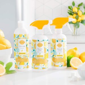 SQUEEZE THE DAY SCENTSY CLEAN BUNDLE