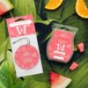 Watermelon Tangerine Scentsy Bar