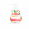 WATERMELON TANGERINE SCENTSY HAND SOAP WATERMELON TANGERINE SCENTSY HAND SOAP