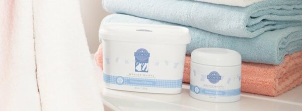 SCENTSY FALL WINTER 2020 CATALOG REQUEST | Shop Scentsy | Incandescent.Scentsy.us