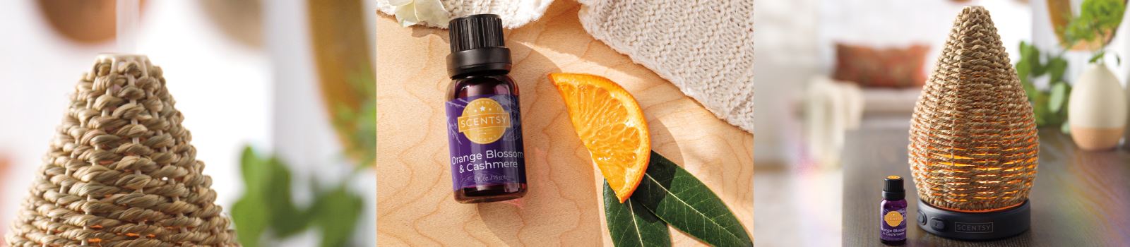 Scentsy Diffusers & Natural Oils | Shop Online