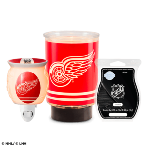 fw22nhldetroitredwingsbundleiso600x600r1