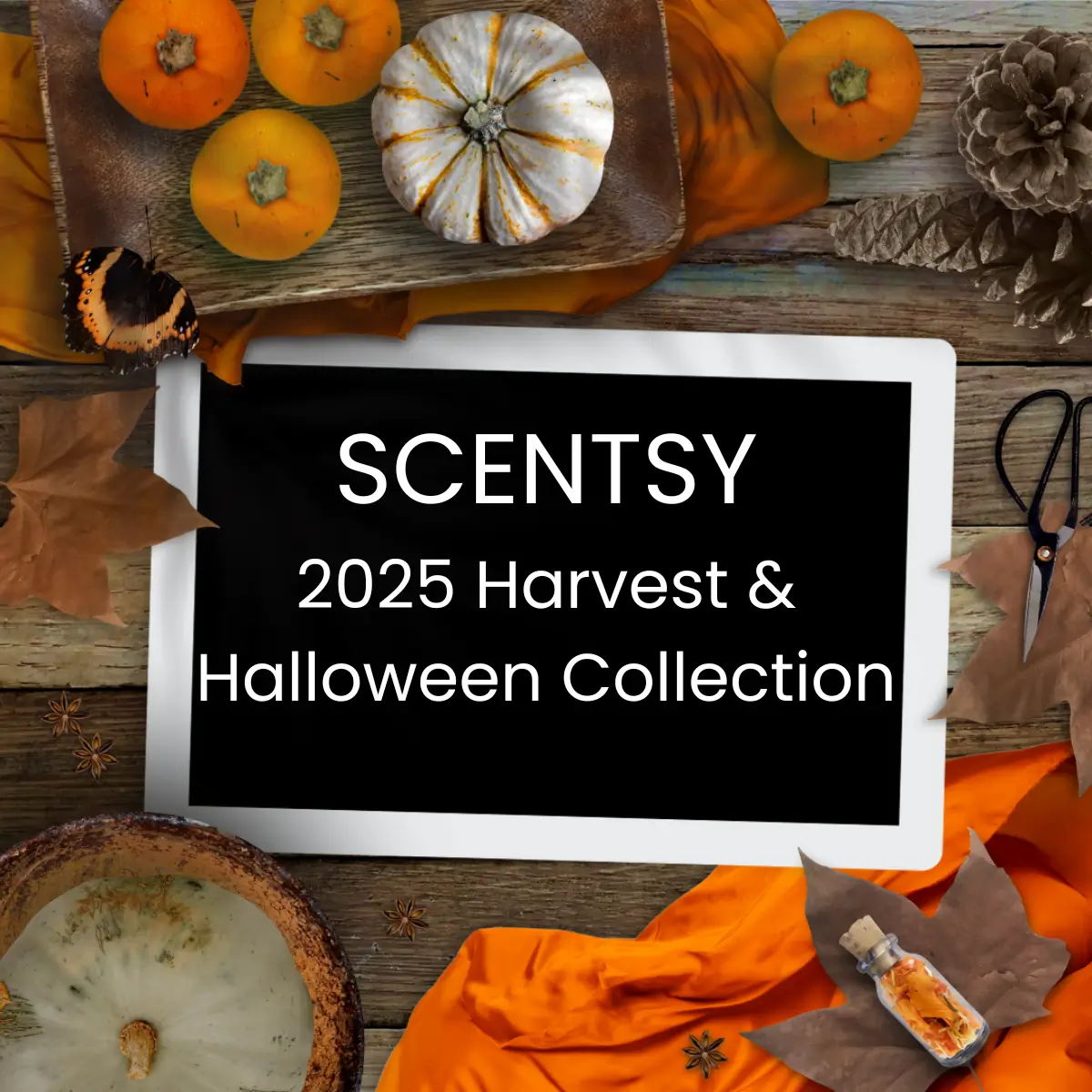 Scentsy 2025 Harvest Halloween Collection