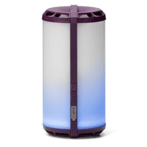 Special Edition Scentsy Go Purple | Scentsy Club Exclusive