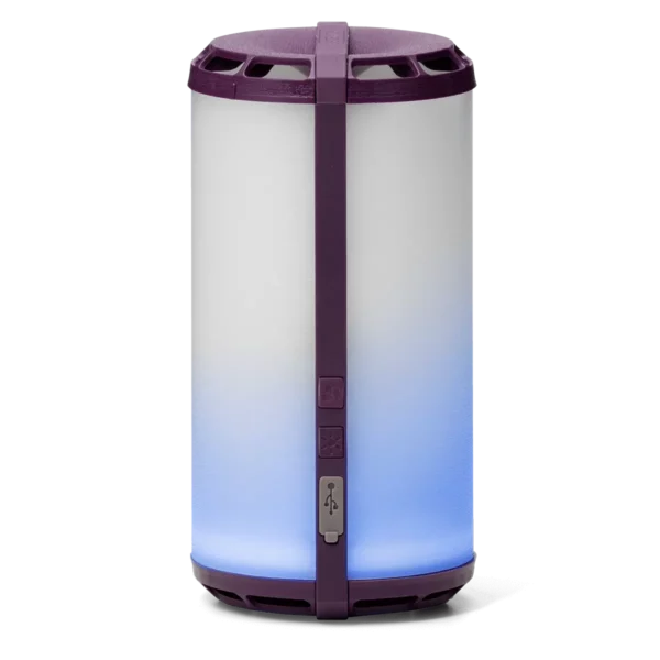 Special Edition Scentsy Go Purple | Scentsy Club Exclusive