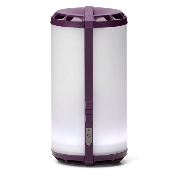 Special Edition Scentsy Go Purple | Scentsy Club Exclusive