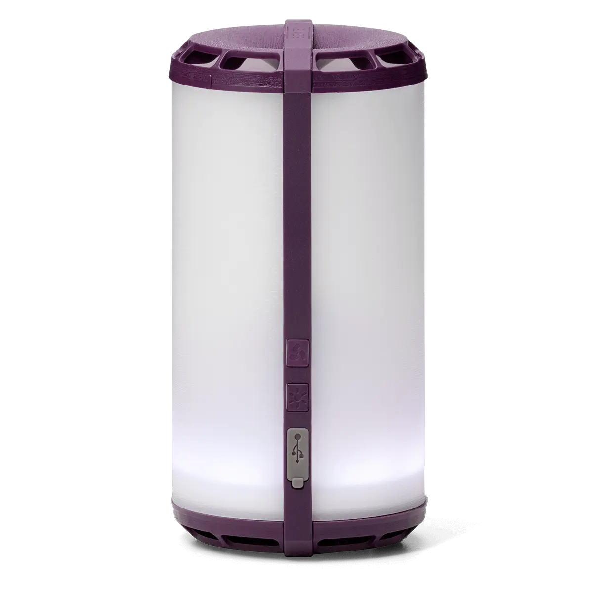 Special Edition Scentsy Go Purple | Scentsy Club Exclusive