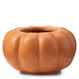 Color Me Pumpkin Scentsy Warmer Dish ONLY