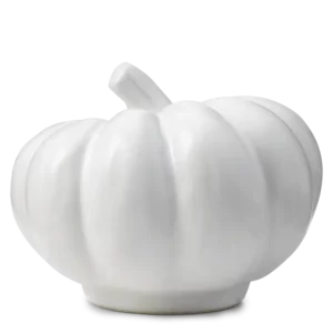 Color Me Pumpkin Scentsy Warmer Lid ONLY