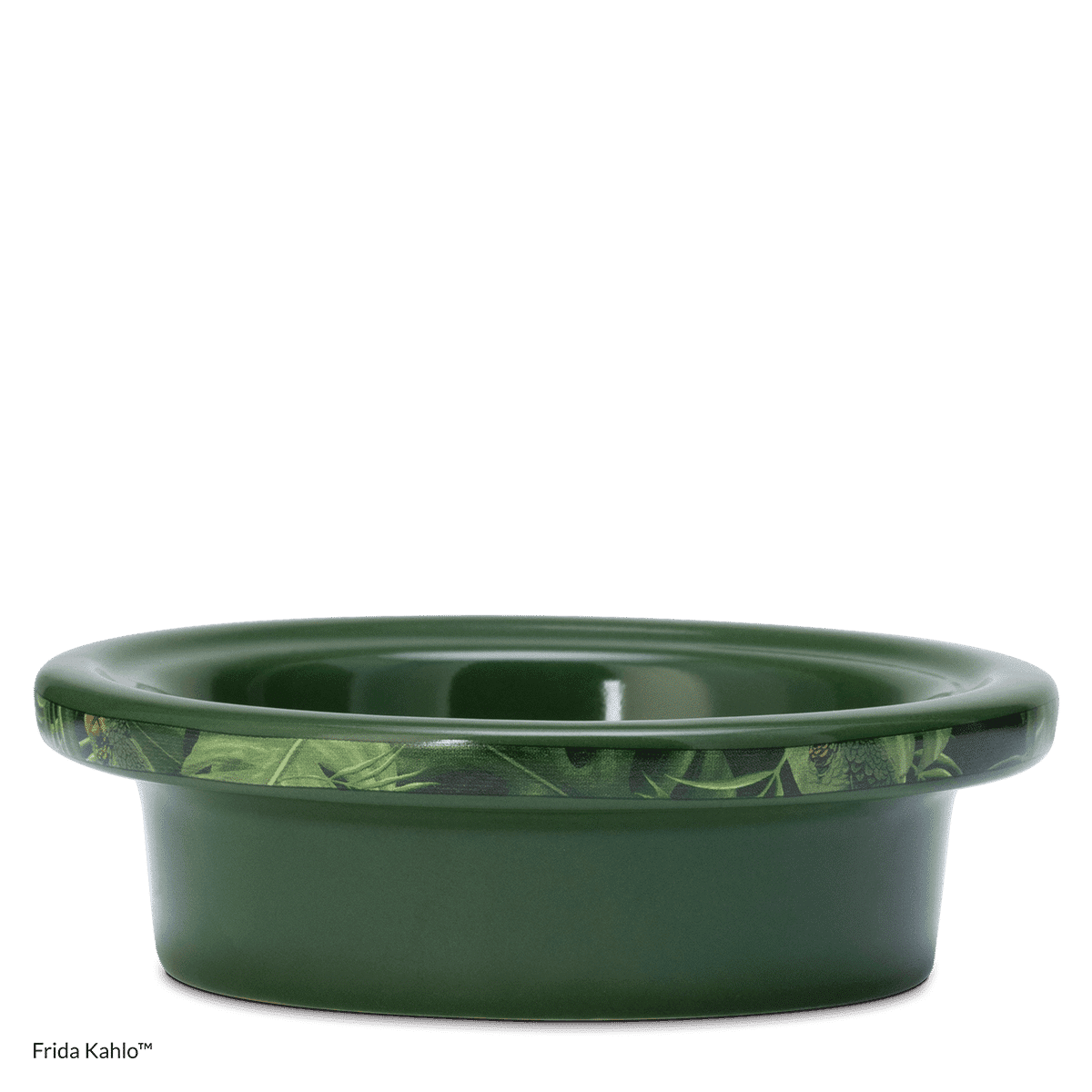 homewarmerfridakahloisodishr1mxfw22 highres