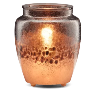 What is a Scentsy Warmer? Get started!