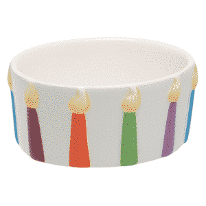 IT'S A PARTY SCENTSY WARMER DISH ONLY