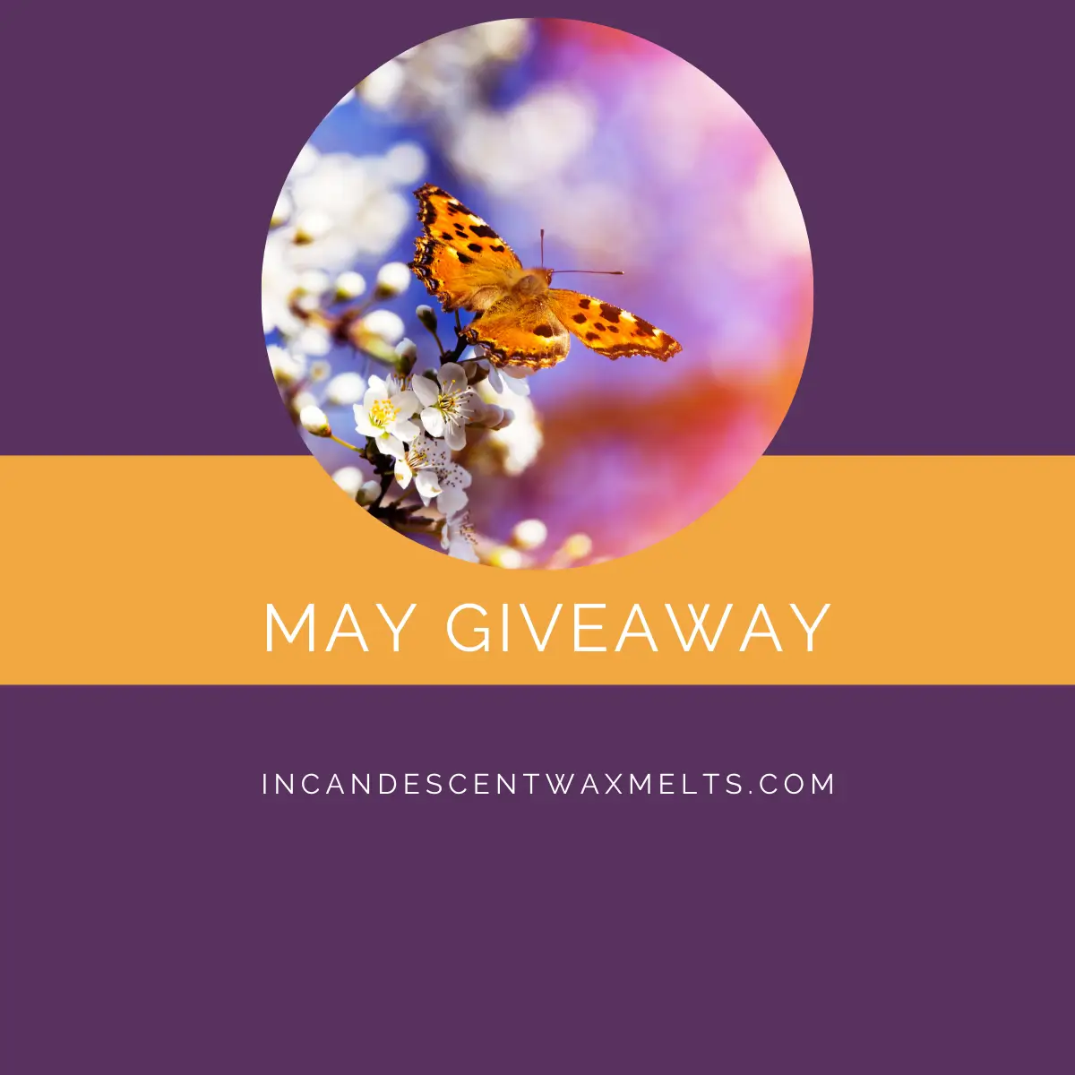 Monthly Giveaway