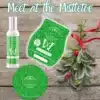 Meet at the Mistletoe Scentsy Room Spray | December 2023