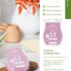 SCENTSY FALL WINTER 2020 CATALOG REQUEST | Shop Scentsy | Incandescent.Scentsy.us